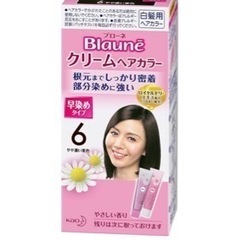 【終了】未使用★ブローネ　クリームヘアカラー　6