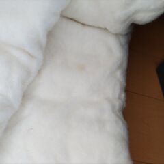 (取引決定)コットンケット シングル 140cm×200cmの画像