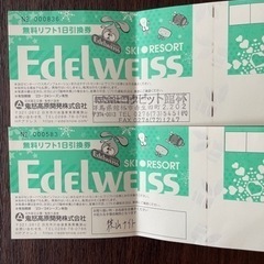 エーデルワイススキーリゾート　リフト券　1枚