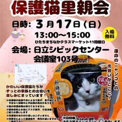 ひたちまちにゃか保護猫里親会(2024/3)