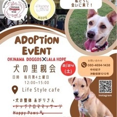 犬の里親会+犬の整体+しつけ教室 in Life style cafe