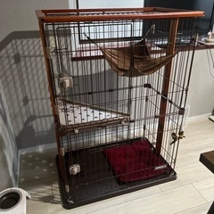 お譲り先決まりました。 ウッドワンサークルキャット２段