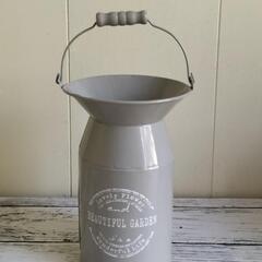 ワイヤープランツ🌿観葉植物の画像