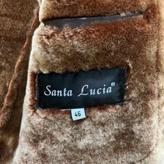 イタリア系ブランドSANTA LUCIA 皮コートの画像