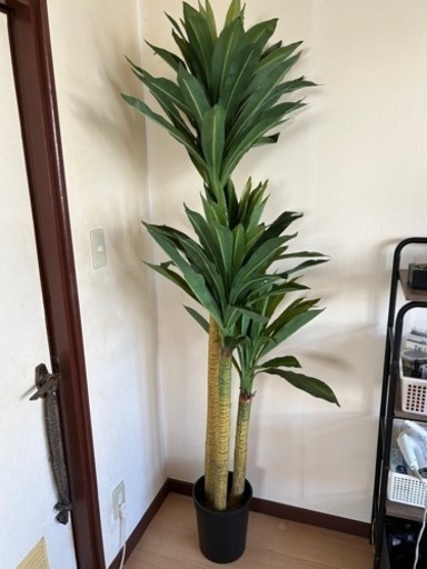 インテリア観葉植物　　造花