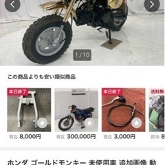 ゴールドモンキー未使用デッドストック0キロの画像