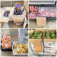 22日〜24日　お野菜激安販売します！
