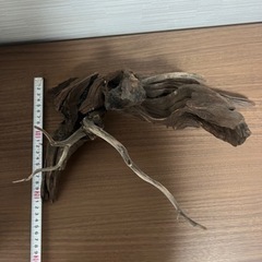 流木 アクアリウムの画像