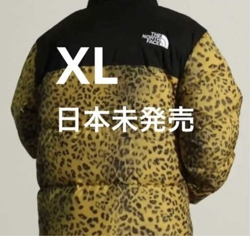 【希少品】ノースフェイス　ヌプシダウン　レオパード
