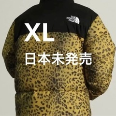 【希少品】ノースフェイス　ヌプシダウン　レオパード