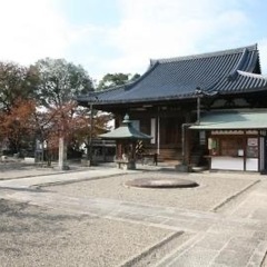 梅の花を見に行きませんか？ (精神疾患の方のみ)