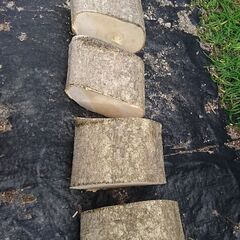 薪 全部まとめて