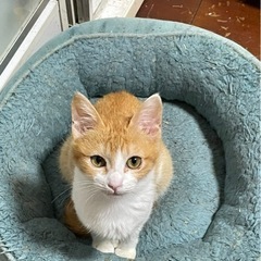 家の小庭に親子で来てくれました。