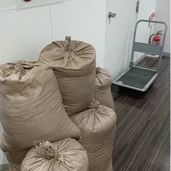 ヒノキの酵素おがくず差し上げます。の画像