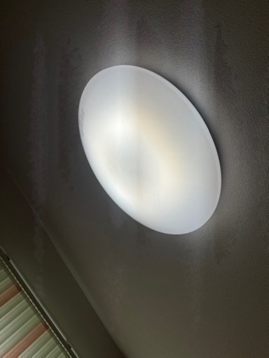 電気