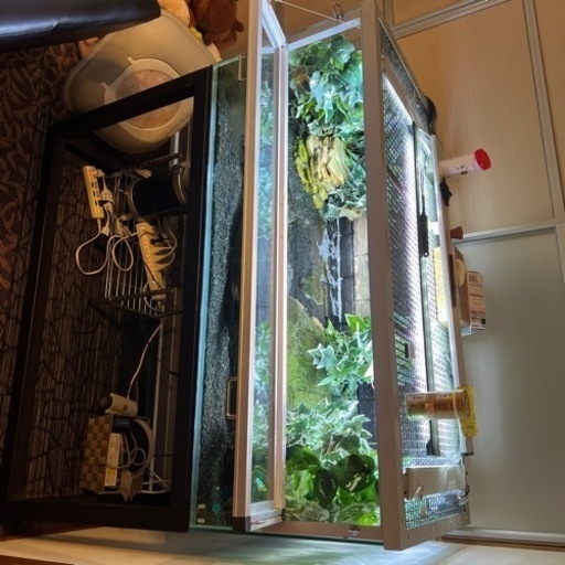 爬虫類特注水槽