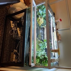 爬虫類特注水槽