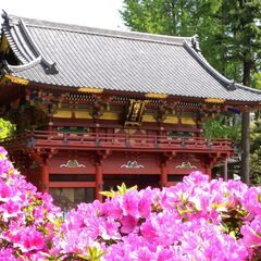 4/1～4/30 文京つつじまつり根津神社でキッチンカー出店者募集！
