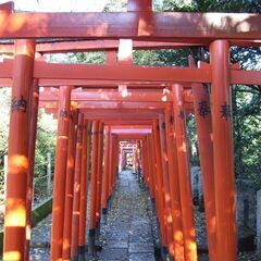 4/1～4/30 文京つつじまつり根津神社でキッチンカー出店者募集！ − 東京都