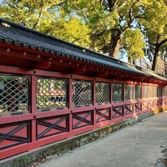 4/1～4/30 文京つつじまつり根津神社でキッチンカー出店者募集！ - イベント