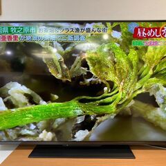 ★43インチ 東芝 REGZA 43Z670L 2022年製★