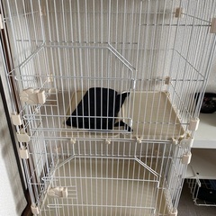 相談中　ペットゲージ　ハンモック付き　猫　ゲージ
