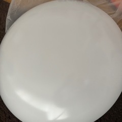 電気