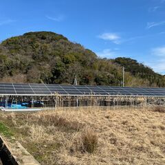 2月26日～2月28日までの短期土木軽作業短期募集中