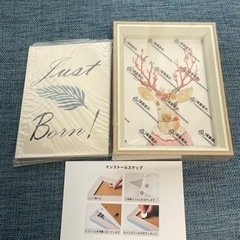 16枚 ベビー マンスリー アニバーサリーカード フォトフレーム付き ユニセックス 男の子 女の子 写真 記念品 誕生 お祝いの画像