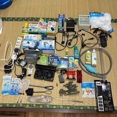 お取引中　熱帯魚　引退品　③