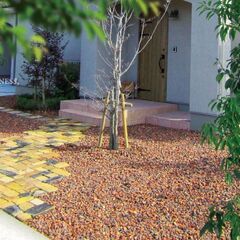 格安でキレイにリフォームしませんか？^_^ - 福岡市