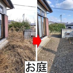 雑草退治お任せ下さい　　空き家のお手入れ等も承ります。　空…