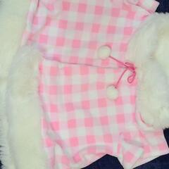 キティちゃんの画像