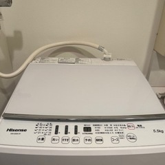家電 生活家電 洗濯機