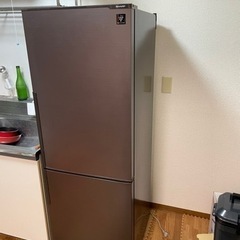 【早い者勝ち】SHARP 270L 冷蔵庫　SJ-PD27Y-T SHARP 270L 冷蔵庫 SJ-PD27Y-T