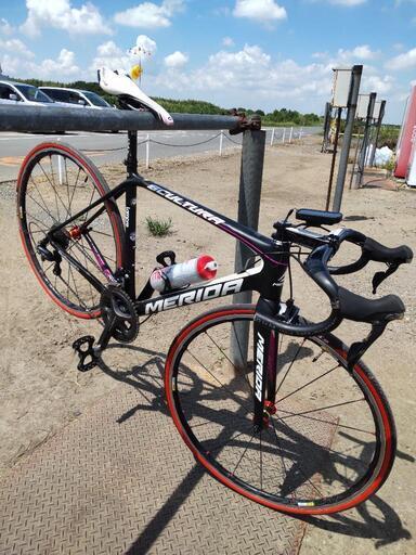 Merida Scultura Team 2016 size52