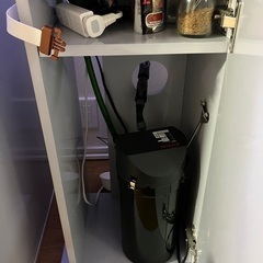 小型熱帯魚水槽。の画像