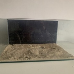 45cmガラス水槽　引き取り