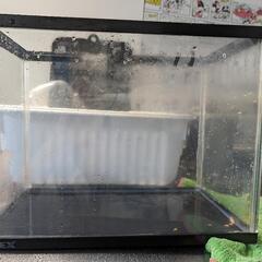 水槽セット