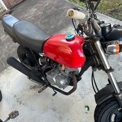 エイプ 50cc