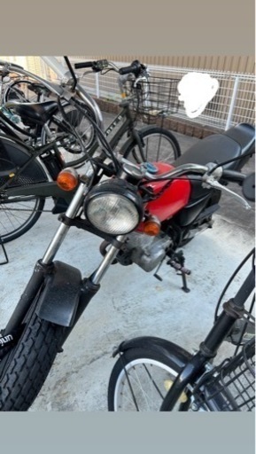エイプ 50cc