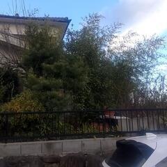 空き家の管理とプロの庭師がお庭も込みで年間管理。