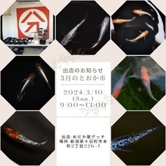 3月10日の『とおか市』に出店します