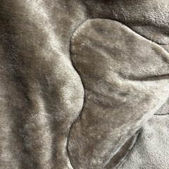 こたつ布団　リバーシブル　0円の画像