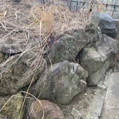 急募！庭石全部持って行ってくれる方限定　謝礼払います - 助け合い