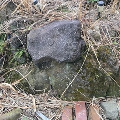 急募！庭石全部持って行ってくれる方限定　謝礼払います - 手伝って/助けて
