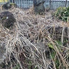 急募！庭石全部持って行ってくれる方限定　謝礼払います - 大崎市