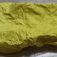 【無事受け渡し完了】リュックカバー？の画像