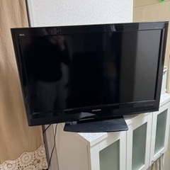 テレビ
