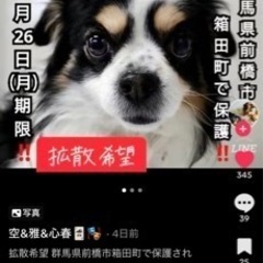 迷子になってます！